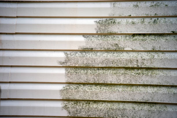 Best Siding for Commercial Buildings  in Exandria, AL