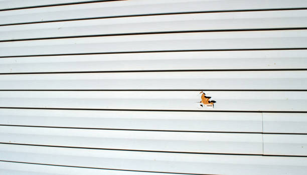 Affordable siding repair and maintenance services in Alexandria, AL